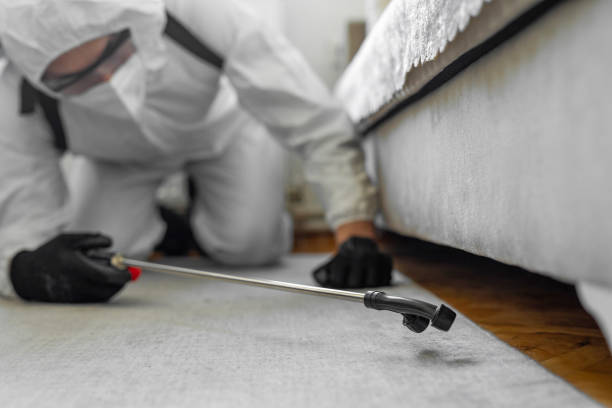 Professional Termite Control technician working in Perry, OH