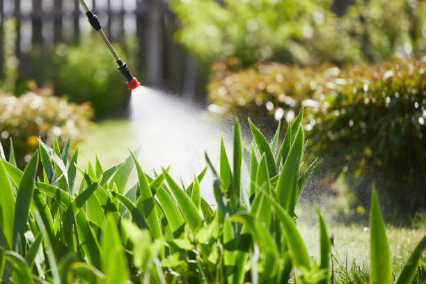 24/7 Emergency Termite Control experts in Perry, OH