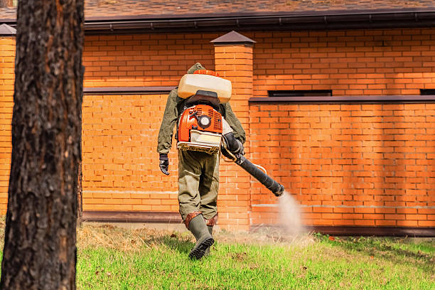 Top rated local Termite Control specialists in Perry, OH